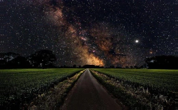 LOTTO: LOTTO LOTTO Šortky - SHORT DIVA (dámské) 