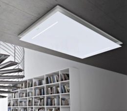 CARLTON: CARLTON CARLTON AF10 Polo ZIP (pánské) 