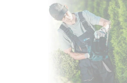 CARLTON: CARLTON CARLTON AF10 V-Shirt (dámské) 